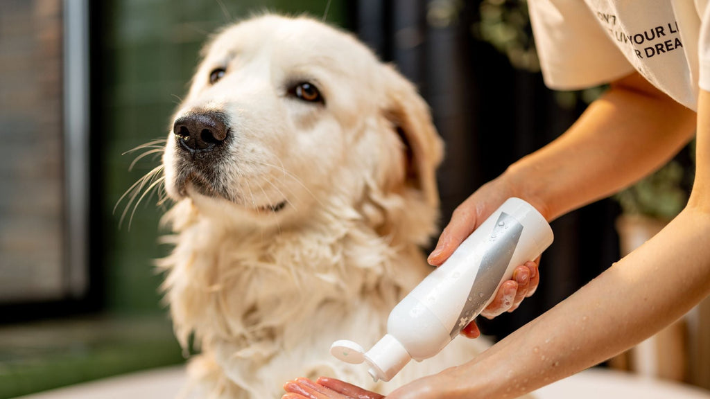 Using Castile Soap in Bulk for Pet Hygiene: Safe and Natural Solutions